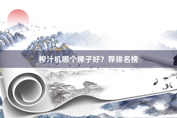 榨汁机哪个牌子好？荐排名榜